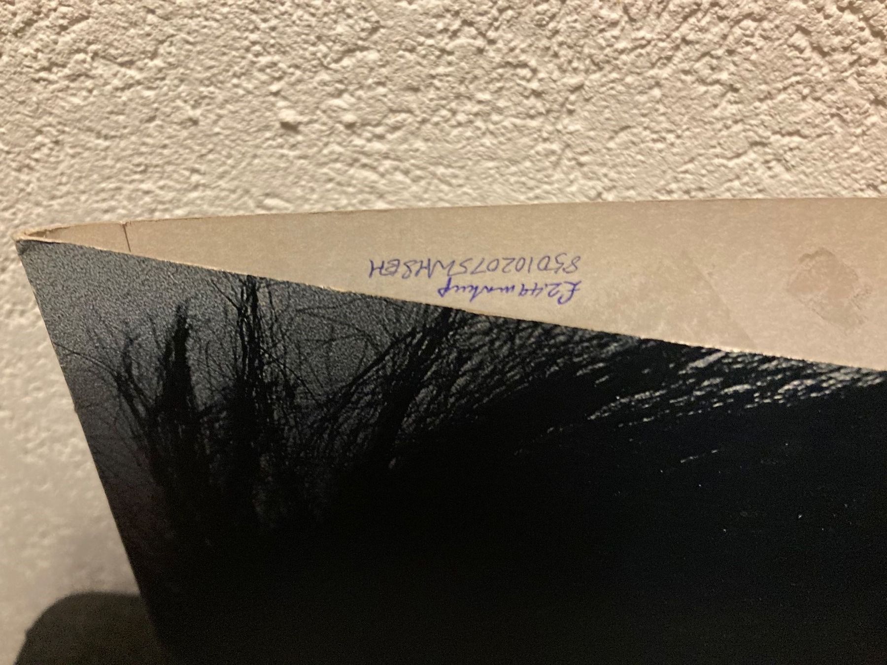 Schallplatten: Siouxsie And The Banshees - Dazzle (12") – Gebraucht aus Fribourg von Karushi 2