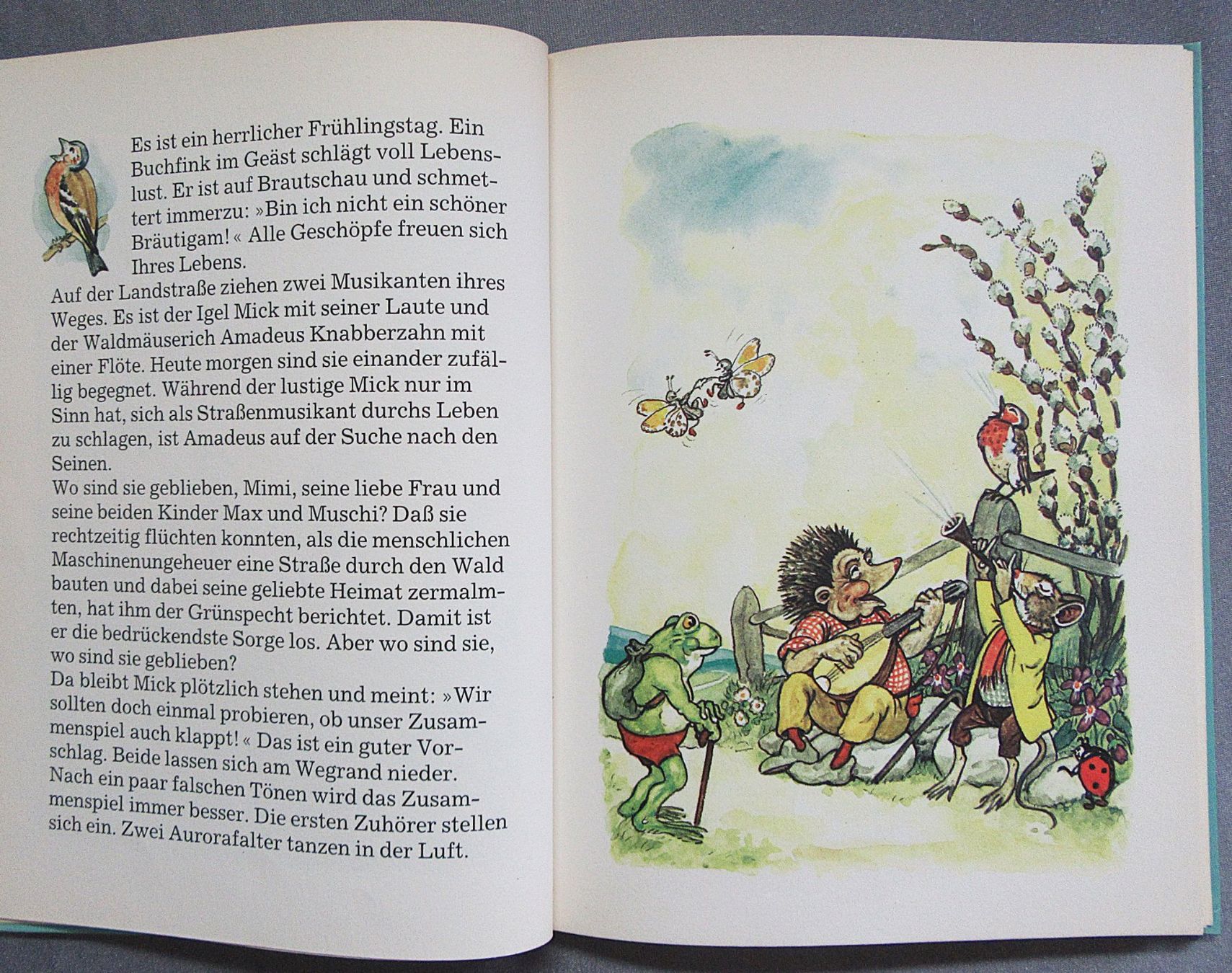 Libri: Die Abenteuer des Mäusevaters Amadeus Knabberzahn – Usato da Auenstein venduto da Padabimbim 1