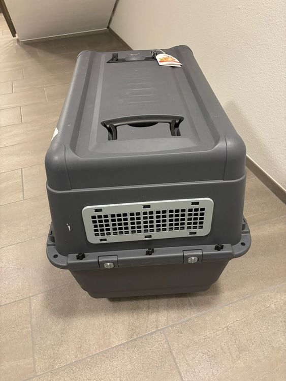 Anione Transportbox L