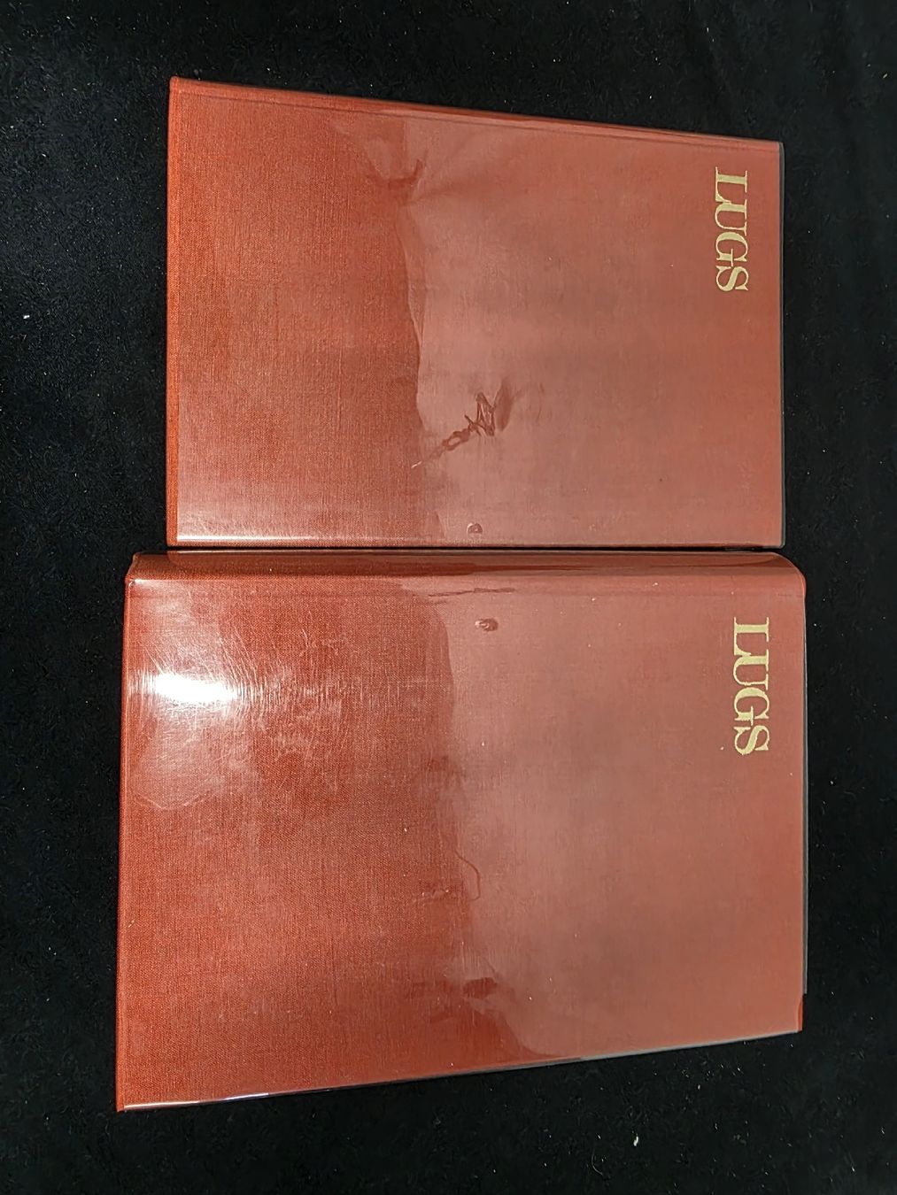 Libri: LUGS Handfeuerwaffen, Systematischer Ueberblick, – Usato da Wolfertswil venduto da Antiko 2