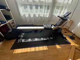 Rudergerät Hammer Pro Force RX1 silber ab 1 Fr.