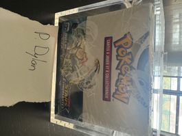 Display Pokémon