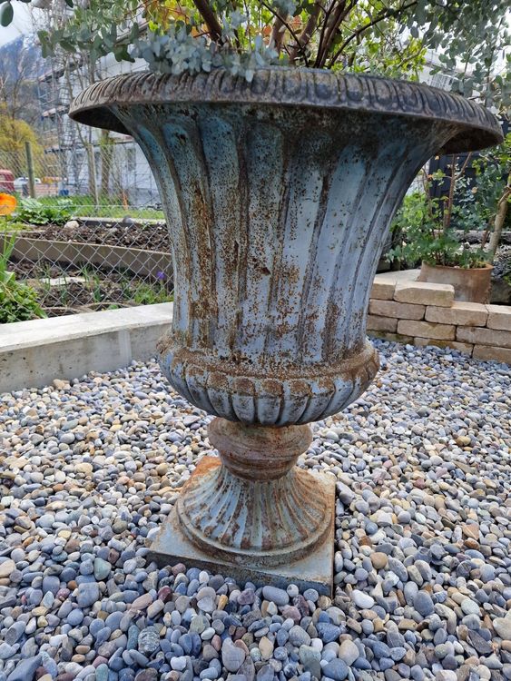Shabby riesen Amphore antik Pflanzkübel vintage Pflanzgefäss Kaufen