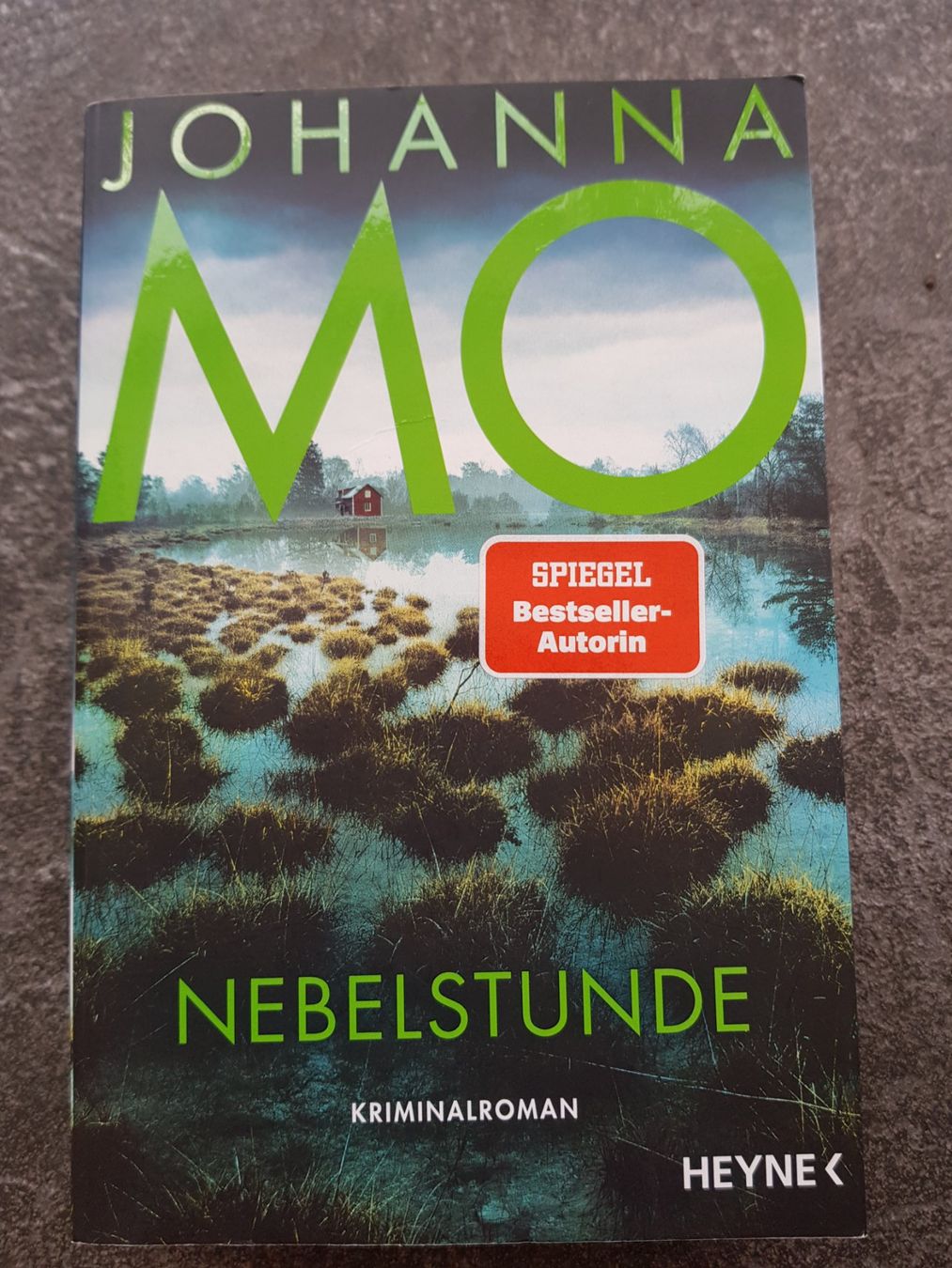 Bücher: NEBELSTUNDE / Johanna MO / Kriminalroman – Gebraucht aus Dietikon von marconi07