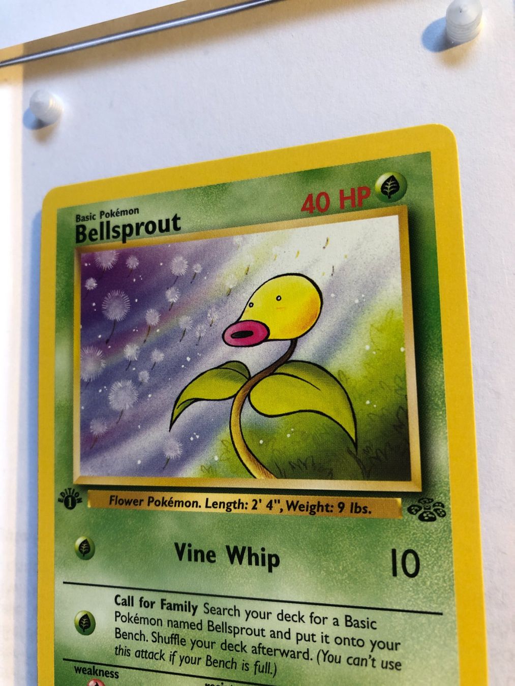 Sammelbilder & Trading cards: Bellsprout 1st Jungle - MINT - ab 1.- – Gebraucht aus Giubiasco von dan_pr8b 3