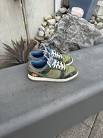 Nike Dunk Siempre Familia