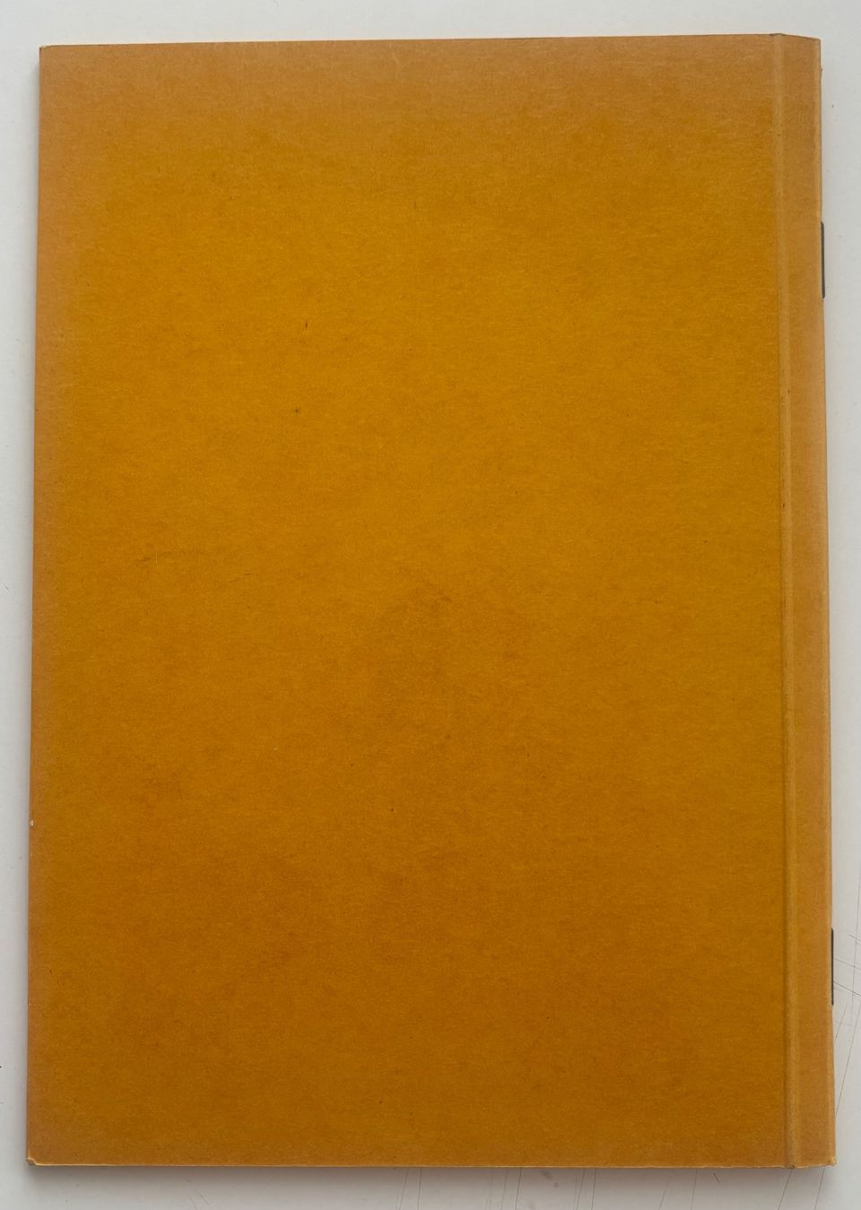Album: Simplex - Dossier pour timbres poste / Briefmarkenordner – Usato da Neuchâtel venduto da gefdeneuch 1