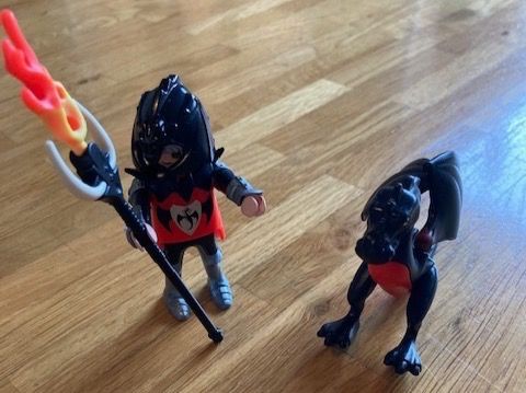 Playmobil Spielzeuge: Playmobil Ritter und Drache – Gebraucht aus Bern von belawoda
