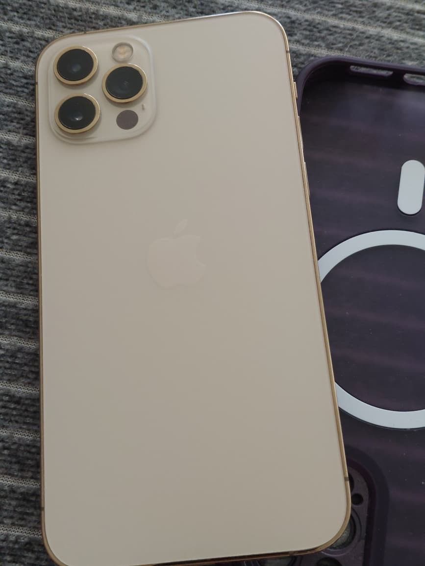 Apple Telefoni cellulari / Smartphones: Apple iPhone 12 Pro 256GB – Usato da Luzern venduto da M.Ai 3