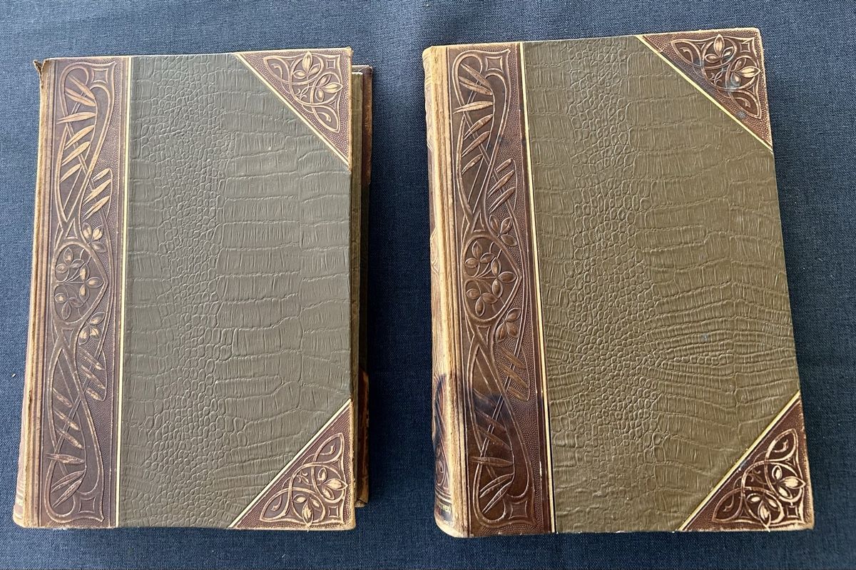 Libri: Das Buch vom Pferde 2 Bände 1902 – Usato da Frauenfeld venduto da Colonia64 6