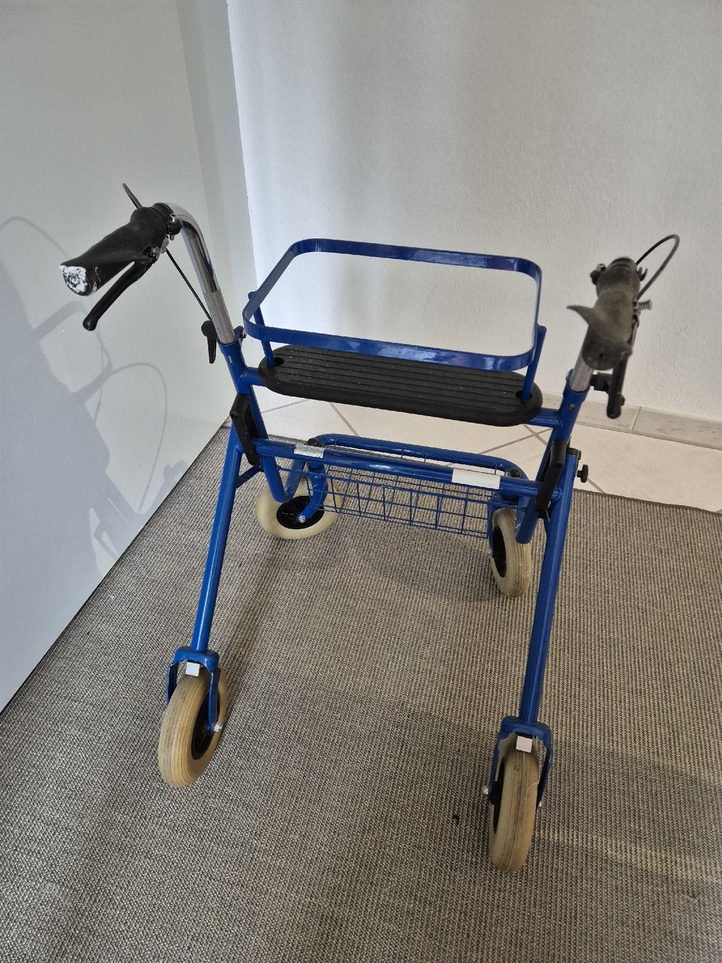 Ausili per la deambulazione: Rollator – Usato da Kollbrunn venduto da guernsey11 2