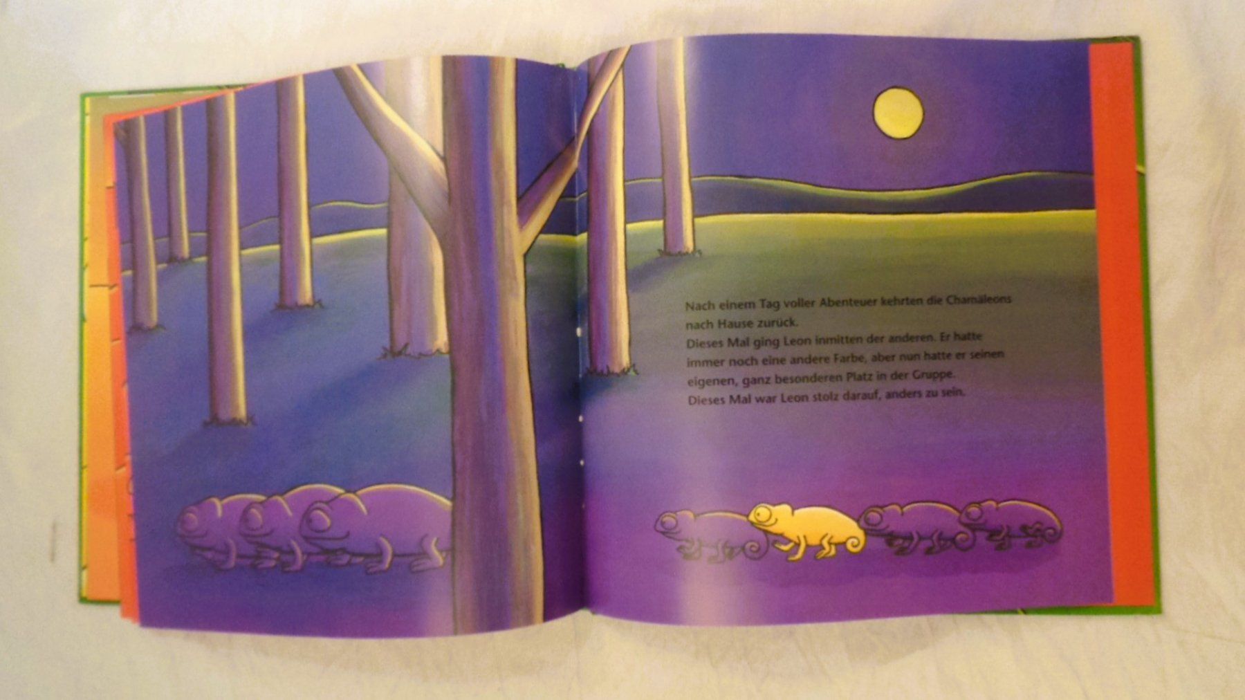 Bücher: Chamäleon Leon ist anders / Bilderbuch Mélanie Watt – Gebraucht aus Bellach von JingleJerry 7