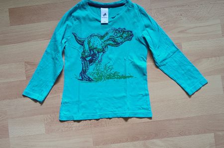 Kinder Langarmshirt Dinosaurier Grösse 104