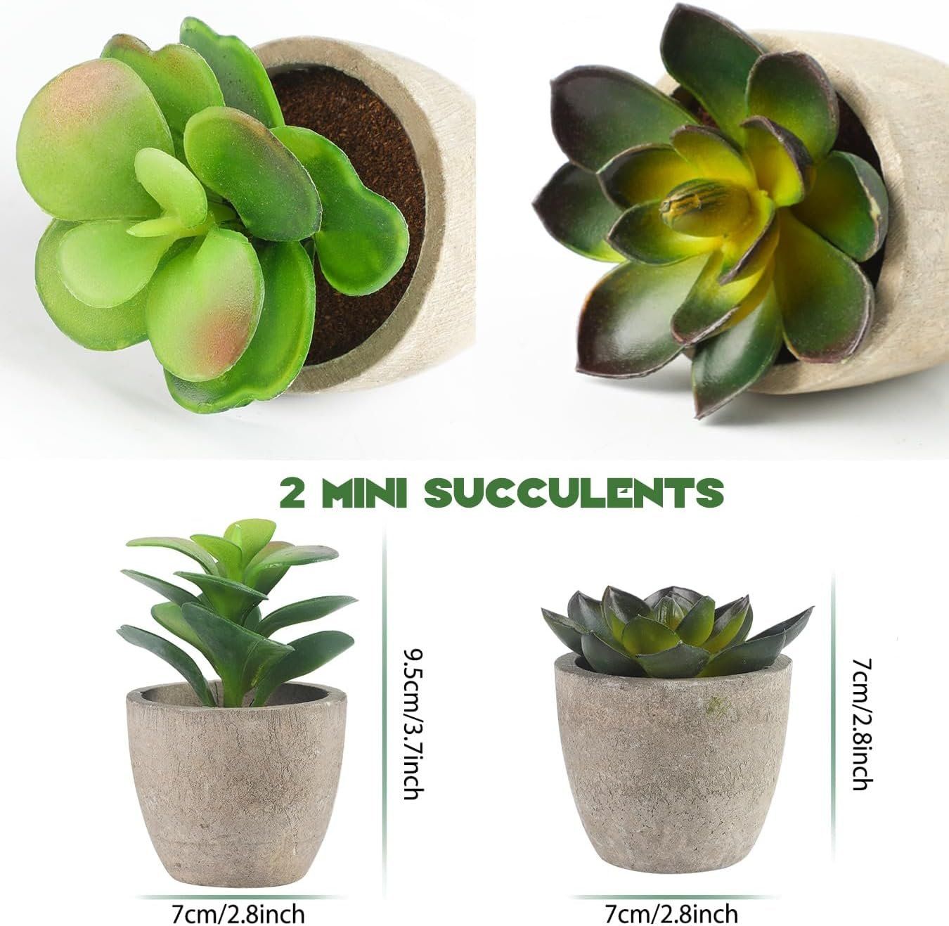 Piante & sementi: 4 Stück Künstliche Pflanzen – Nuovo e nell'imballaggio originale da Nuglar venduto da SaleRitter 3
