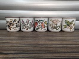 5er Set Villeroy & Boch Botanica Becher / Behälter