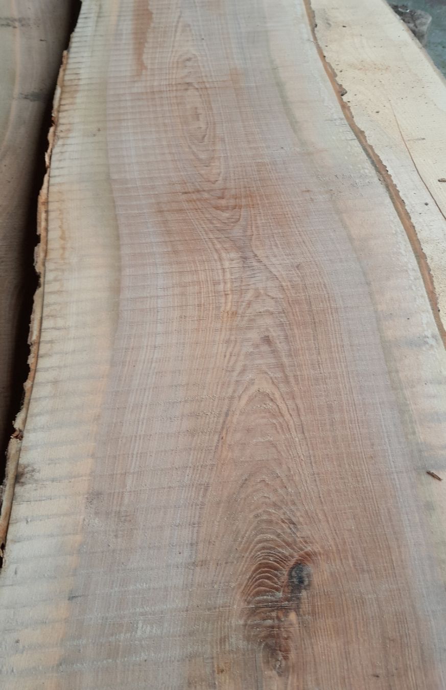 Articles en bois: Eschen Bretter – Neuf (Voir description) à Grosswangen par paluki