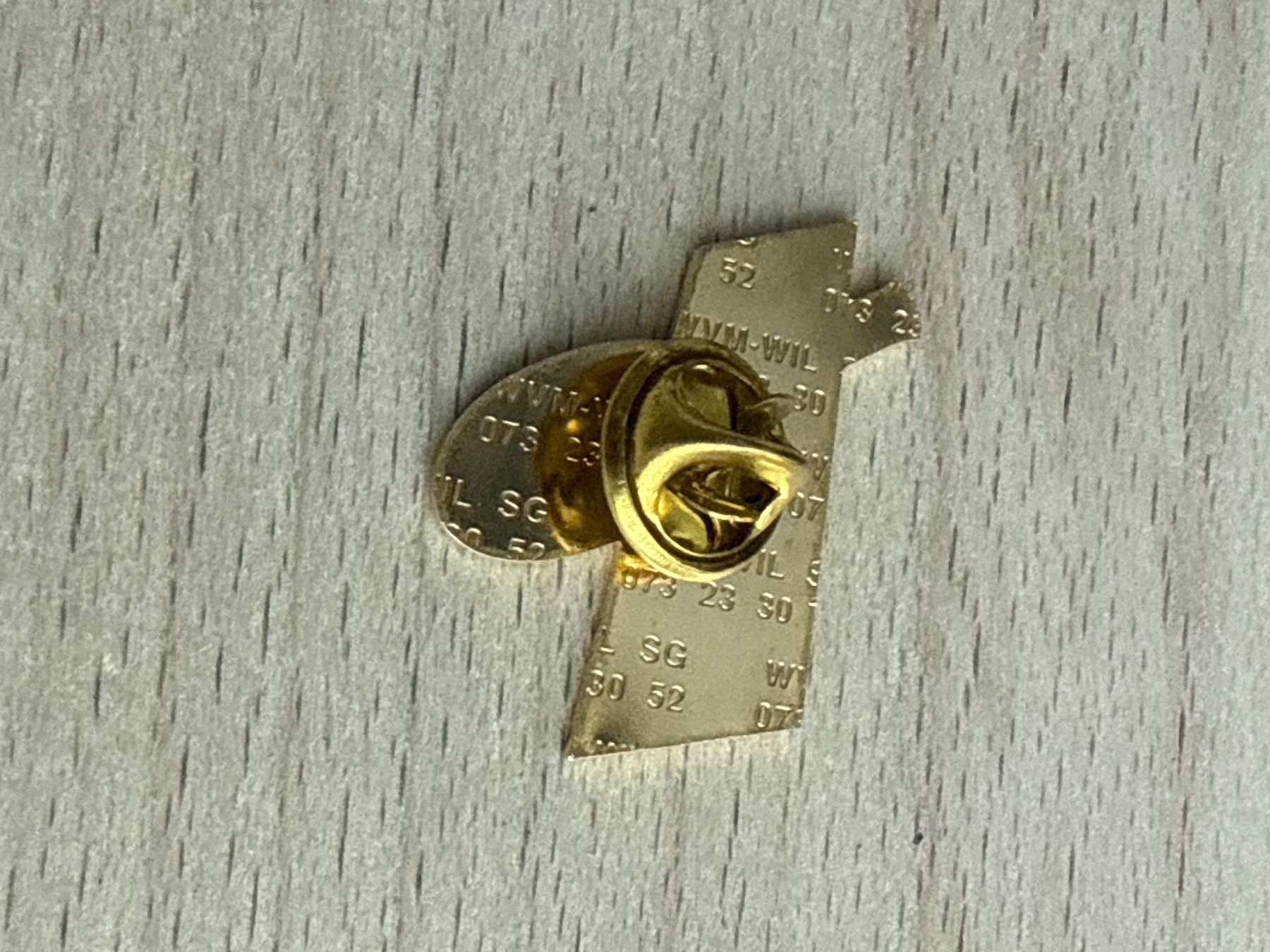 Plaquettes & Badges: Pin TC Trun – D'occasion à Glattbrugg par Schweigmatt 1