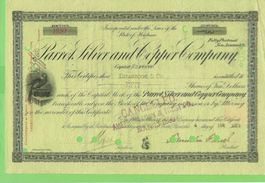 Parrot Silver and Copper Co.  1899