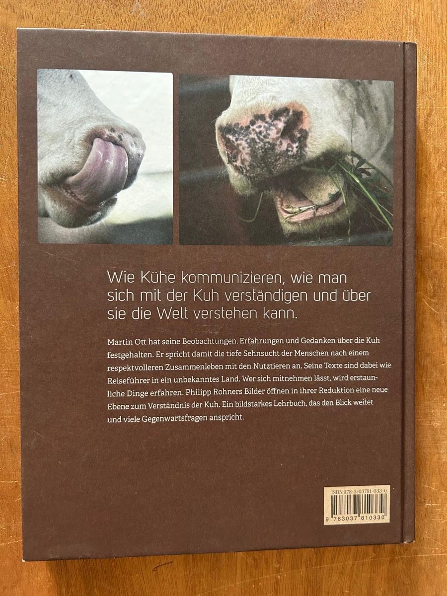 Libri: "Kühe verstehen" Martin Ott – Usato da Zürich venduto da WWehrle 1