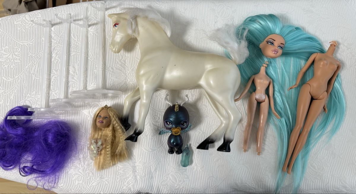 Bambole: Konvolut Barbie Bratz – Usato da Altdorf UR venduto da exa_bjv6