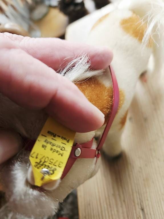 Giocattoli: Steiff Pony Mohair – Usato da Neftenbach venduto da Wummwila 1