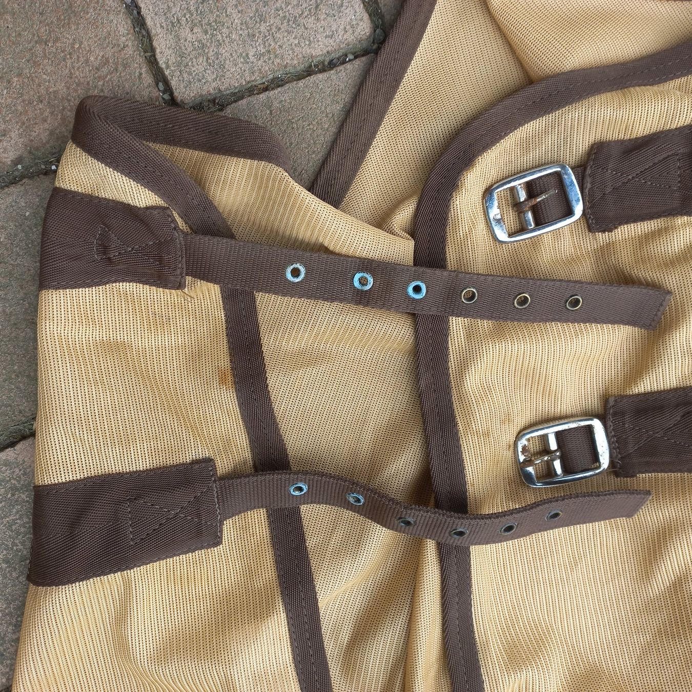 Coperte & Accessori: Pferdedecke Equi Theme Netzdecke beige braun – Usato da Subingen venduto da RR-DD 2