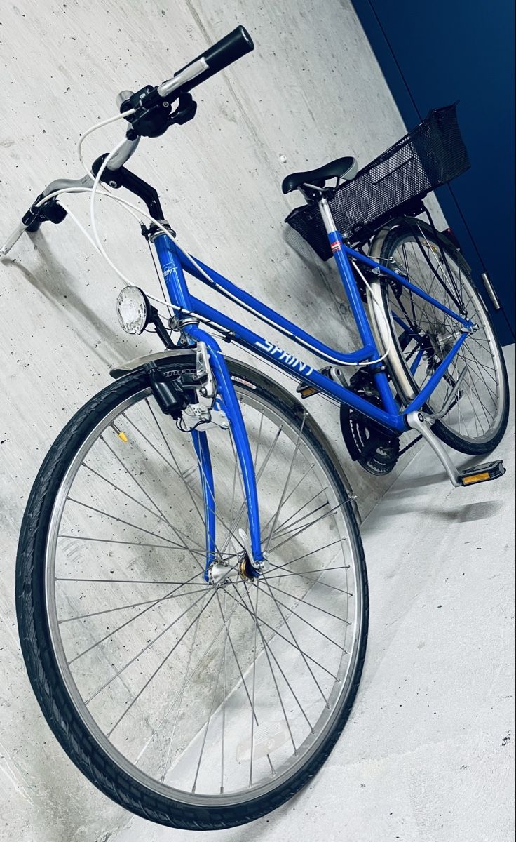 Biciclette: Damen Velo – Usato da Zürich venduto da Bidon3011 1