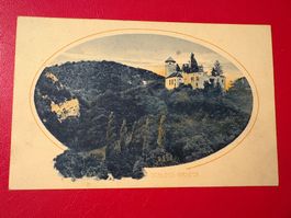 1910 // Schloss Birseck