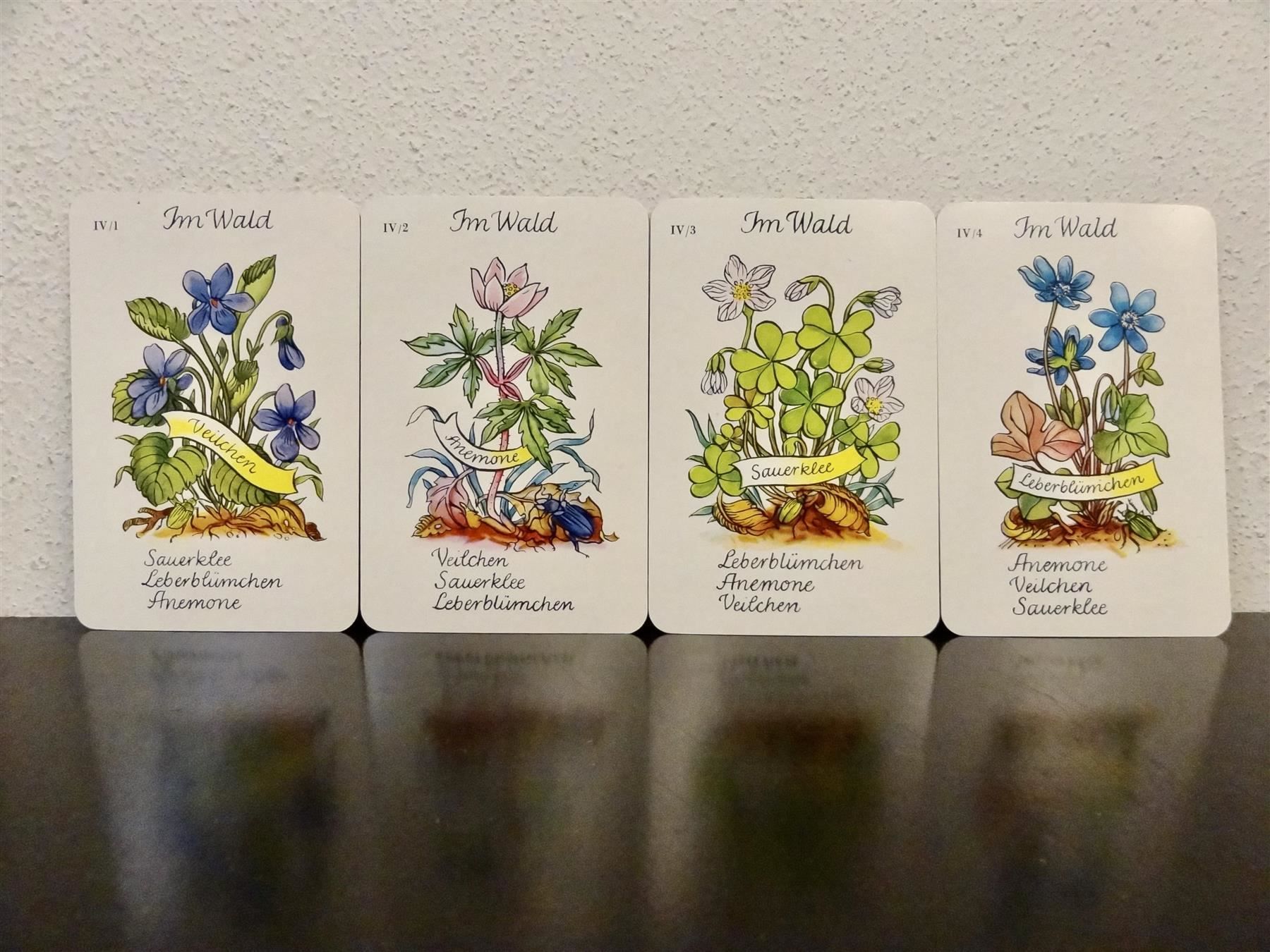 Giochi: altes Quartett BLUMEN-QUARTETT BLUMEN – Usato da Kerzers venduto da wisaundso 6
