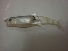 Poisson blanc 12 cm Gummifisch