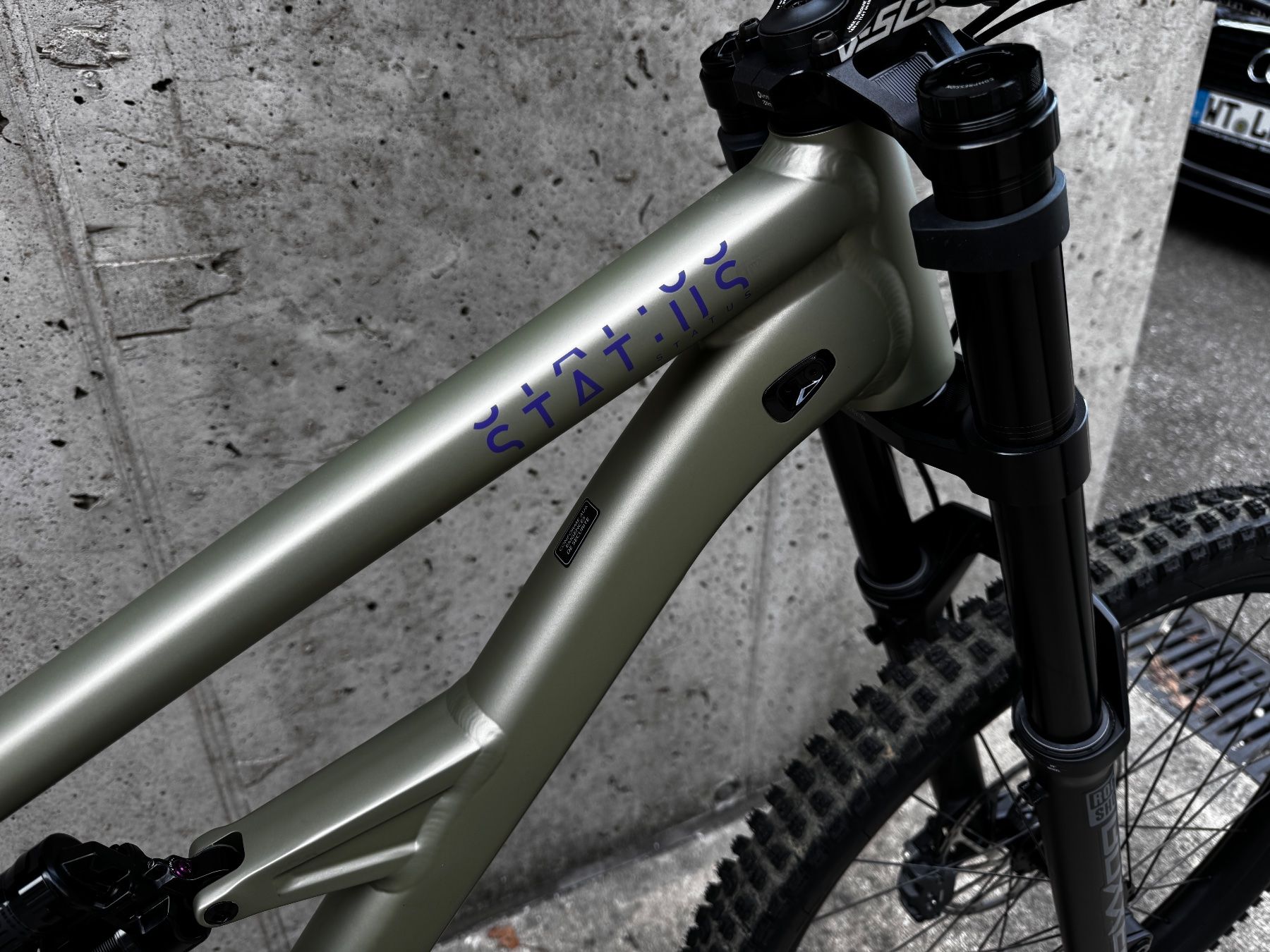Specialized Biciclette: Specialized Status DH 170 s5 – Usato da Wädenswil venduto da sve_2xvr 3