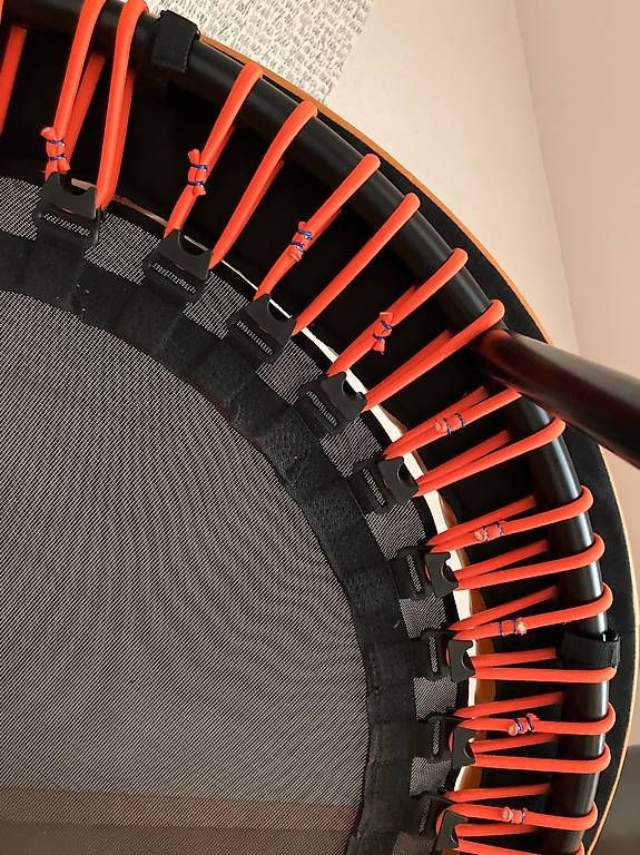 Trampolini: trampoline von bellicon mit randpolster – Usato da baar venduto da Lstar 4