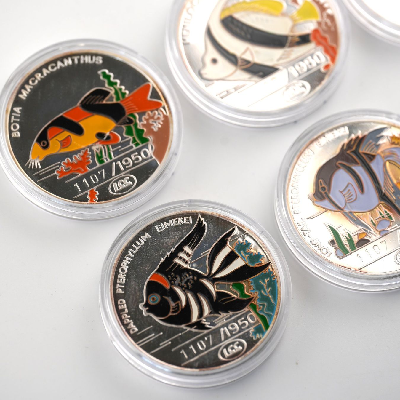 Tutti le monete: 6x1 Oz Silber 500 Won – Usato da Basel venduto da Vip24 1