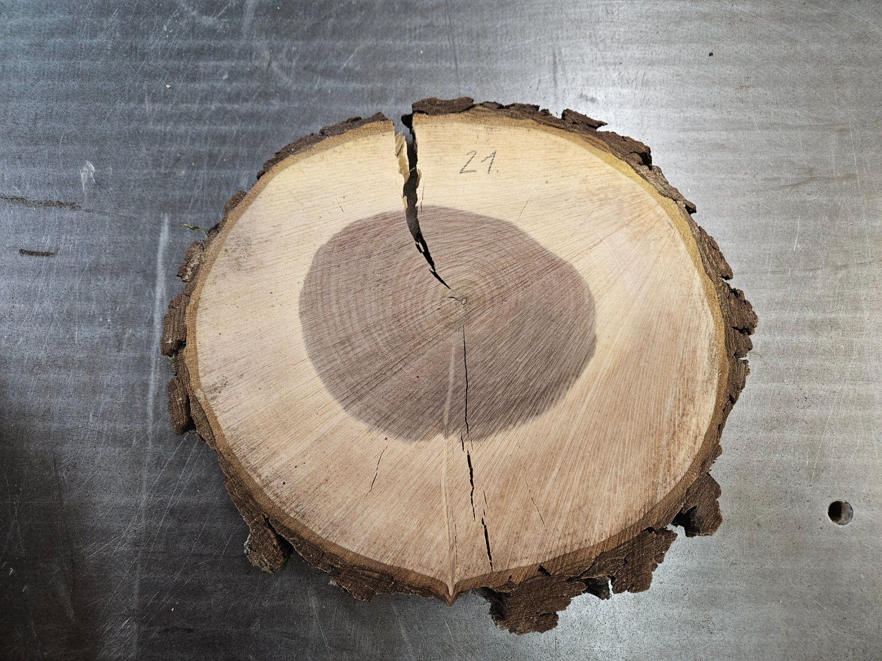 Articoli in legno: Nussbaum Holz Baumscheibe – Nuovo (secondo la descrizione) da Schangnau venduto da egli6.2