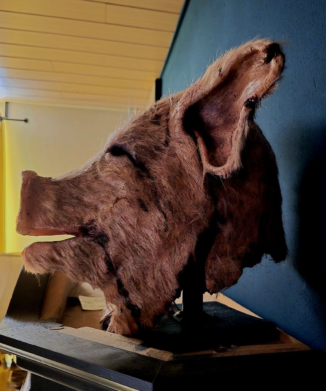 Masken: Masque de cochon – Gebraucht aus Court von Mirko_w8w5