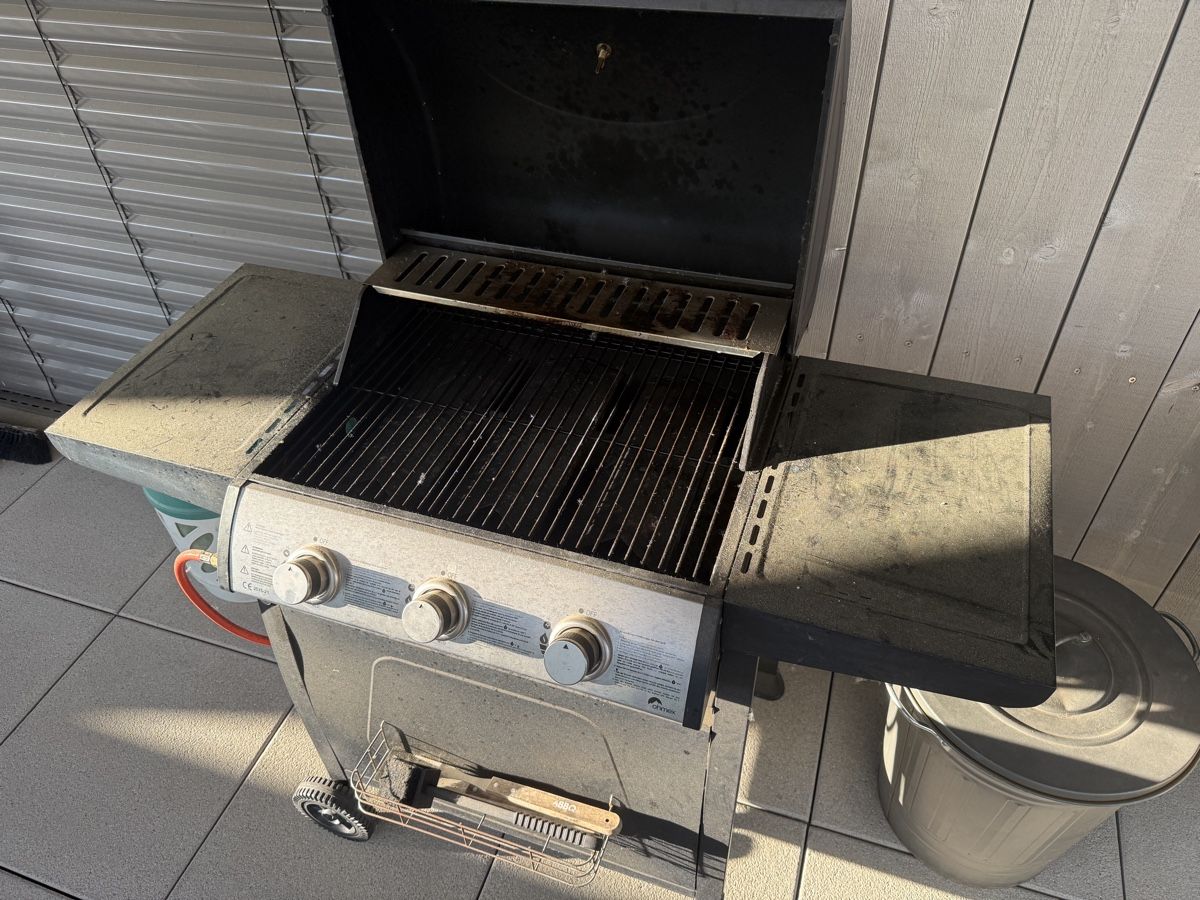 Grils: Ohmex Gasgrill – D'occasion à Lausen par dil_7gct 1