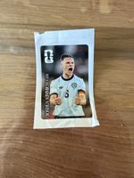 Panini 