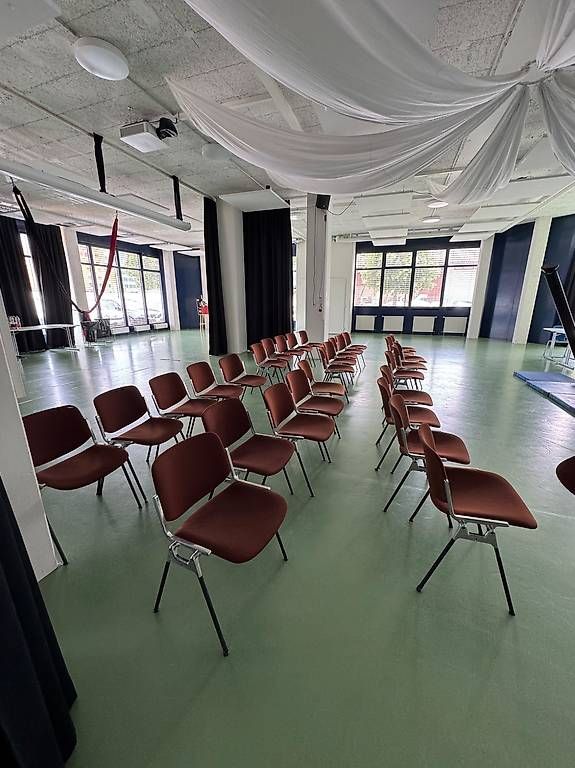 Castelli Sedie: Vintage Konferenzstuhl Castelli – Usato da Lufingen venduto da cagdasch