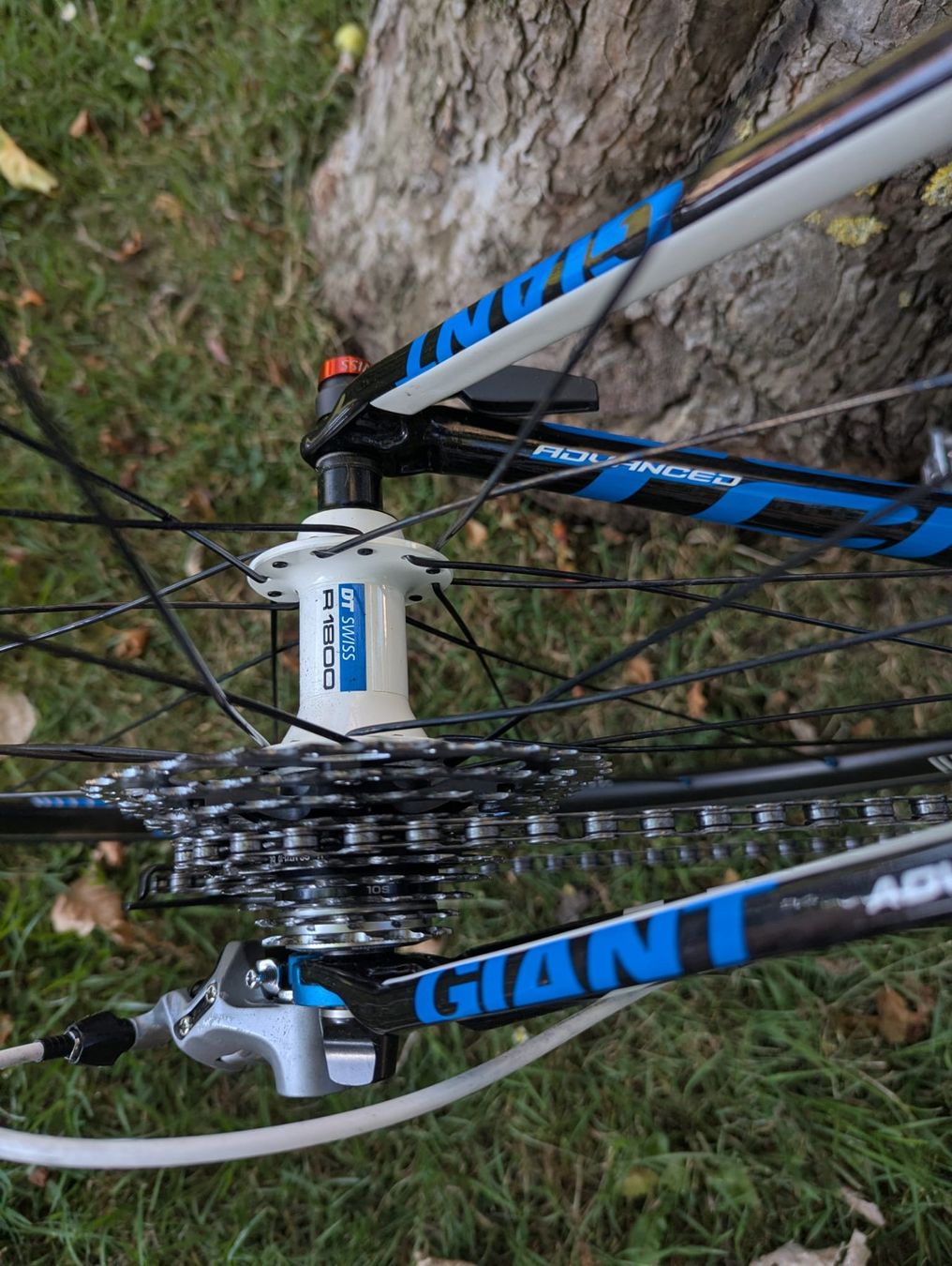 Giant Vélos: GIANT TCR Advanced – D'occasion à Köniz par Tomsen0 4
