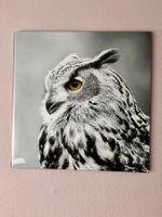 Eule Glassbild, Schwarz-Weiss Fotografie, Top Zustand!
