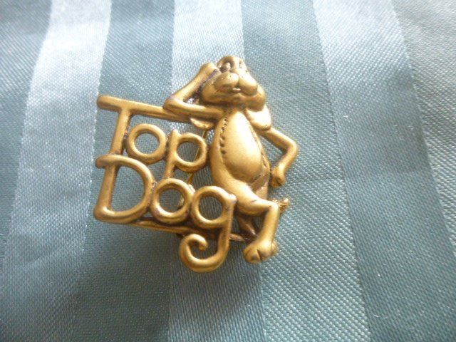 Spille & Fermagli: Brosche Top Dog sign. Davencraft – Usato da Hinwil venduto da Glasperlen 1