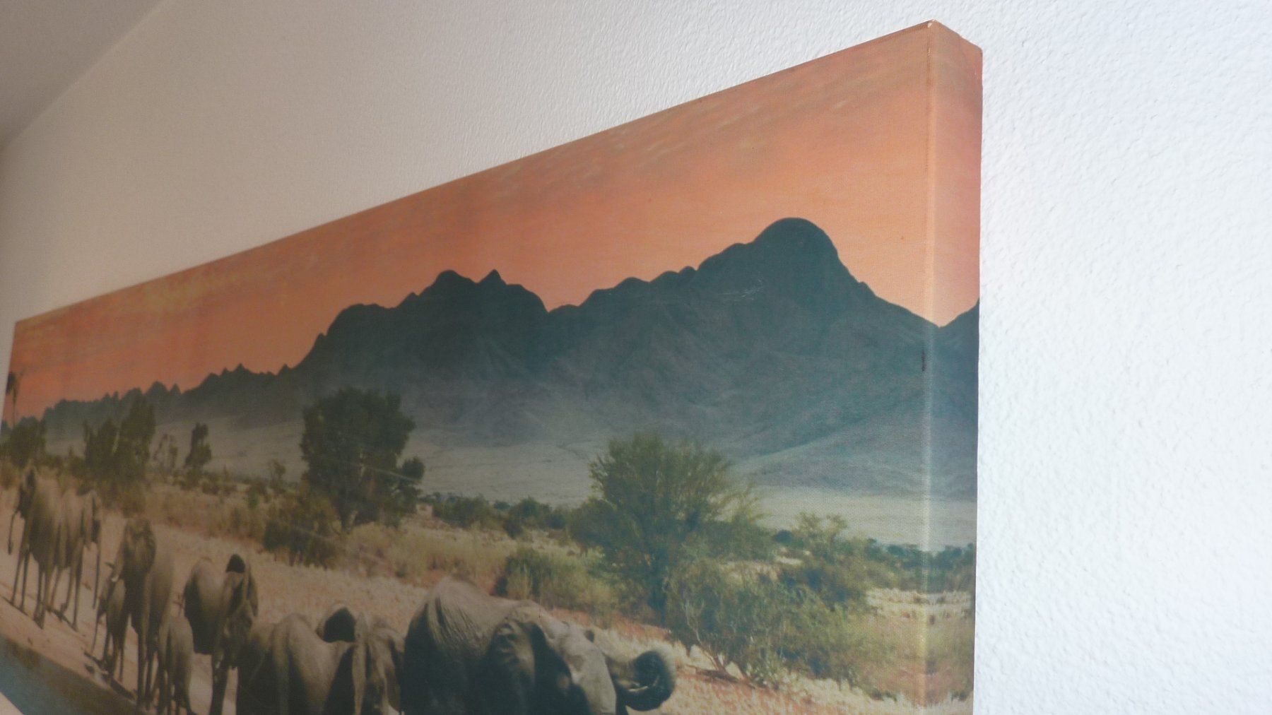 Dipinti: elefanten bild – Usato da Füllinsdorf venduto da pmarkus 3