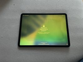 Apple iPad Modell A1980 grau gesperrt defekt Zustand