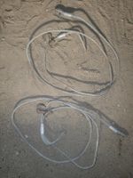 chokerseil