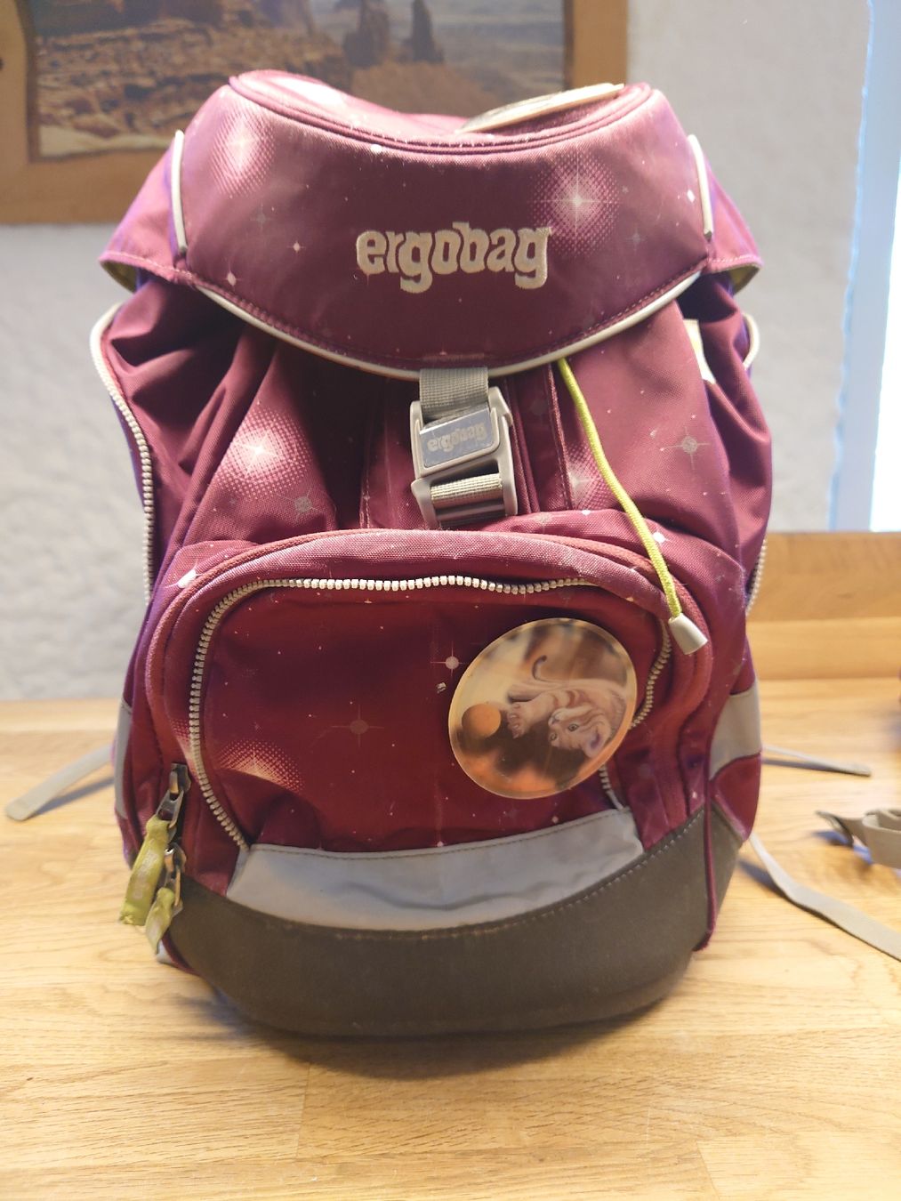 Ergobag Borse & Zaini: Schulrucksack Ergobag mit Turnsack und 2 Etuis – Usato da Wittenbach venduto da Maxder 1