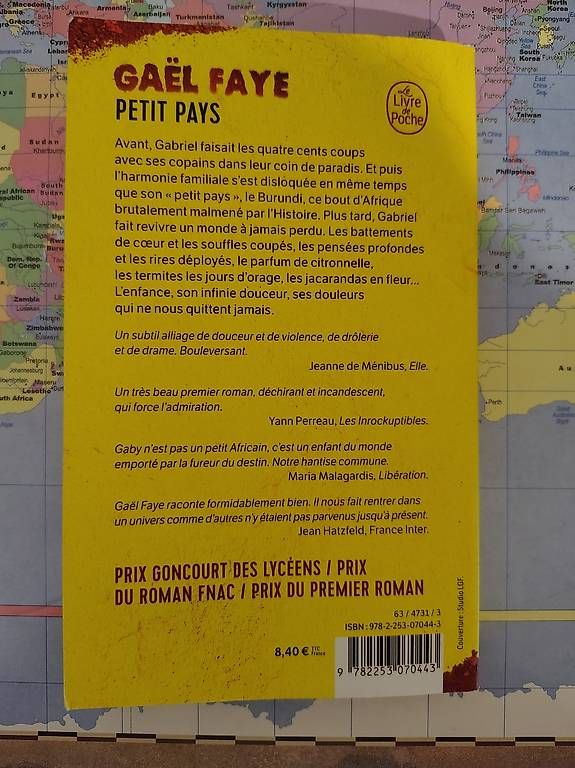 Libri: Gaël Faye, Petit Pays – Usato da Gümligen venduto da pre_z2wf 1