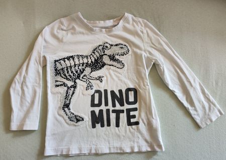 Langarmshirt mit Dino-Motiv, Grösse 116🦖🦕