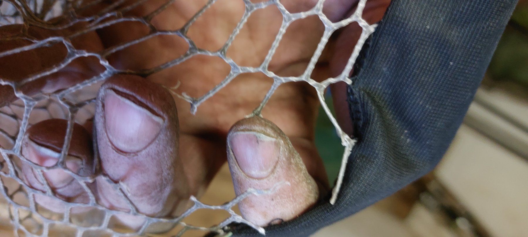 Canne da pesca: Gebrauchter Kescher von Pafex – Usato da Brislach venduto da ericCH 3