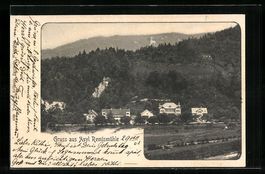 Remismühle, Asyl Remismühle aus der Vo