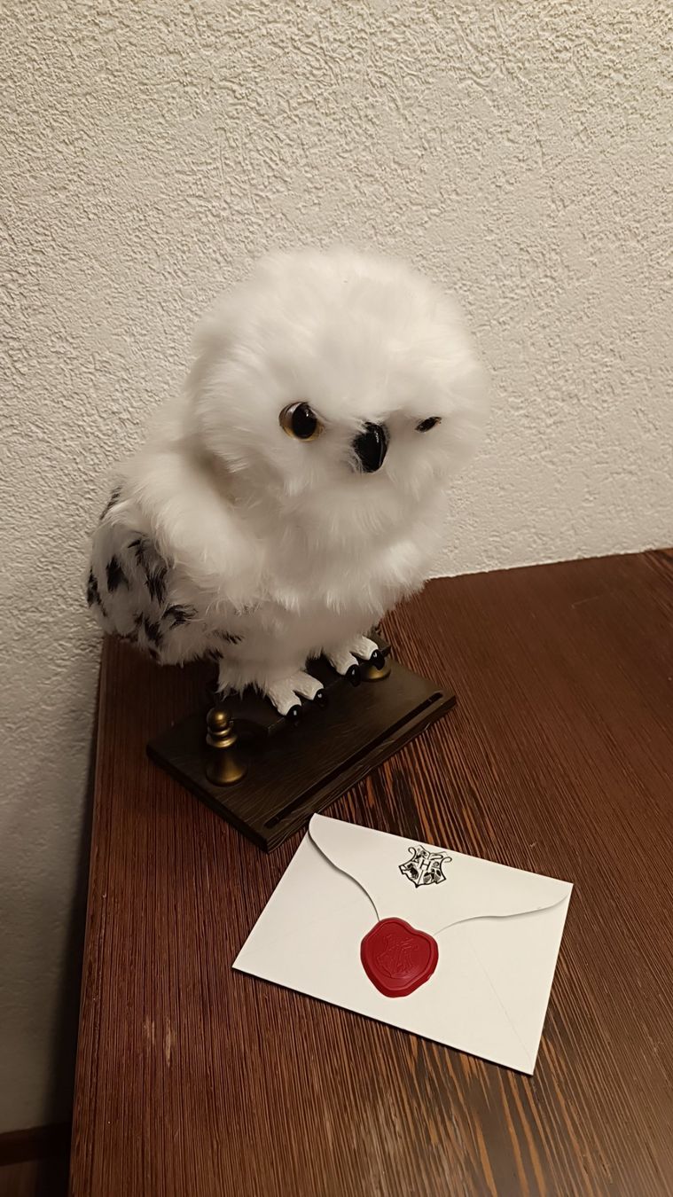 Giocattoli: Harry Potter Hedwig Figur – Usato da Goldau venduto da Chrieseli4 1